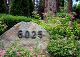 6025 Lake Geneva Drive - Photo 5