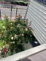 2125 Roundhouse Road - Photo 21