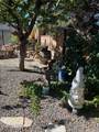 6607 Enchanted Valley Drive - Photo 29