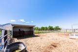 540 Upper Colony Road - Photo 21