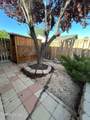 559 Nader Way - Photo 18