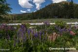 2147 The Back Road - Photo 31