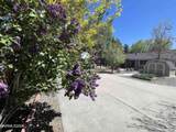 220 Lemming Drive - Photo 13