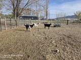 7100 Deer Street - Photo 20