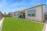 7442 Calypso Drive - Photo 29