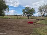 3280 Lone Tree Road - Photo 12