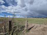 3280 Lone Tree Road - Photo 13
