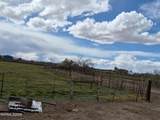 3280 Lone Tree Road - Photo 16