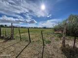 3280 Lone Tree Road - Photo 22