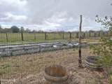 3280 Lone Tree Road - Photo 29