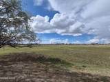 3280 Lone Tree Road - Photo 9