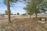 5030 Vanessa Drive - Photo 13