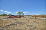 3715 Deodar Street - Photo 41