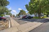 3948 Clear Acre Ln - Photo 20