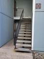 4606 Neil Road - Photo 3