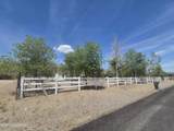3910 Walker View Road - Photo 8