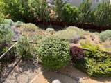 2870 Halo Drive - Photo 31