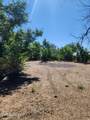 3660 Cypress Street - Photo 5