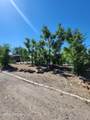 3660 Cypress Street - Photo 6