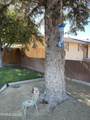 230 Mountain View Street - Photo 21