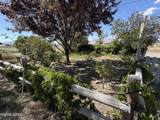 4690 Brayton Road - Photo 18