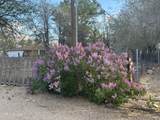 2195 Old River Road - Photo 48