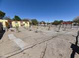 388 C Street - Photo 5