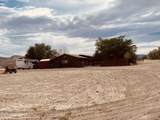 1351 Spruce Street - Photo 40