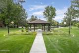 4716 Rio Poco Road - Photo 23