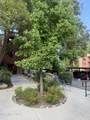 2955 Lakeside Drive - Photo 31