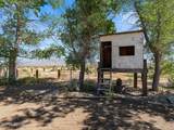 4900 Range Land Road - Photo 50