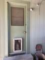 3406 Black Mountain Court - Photo 3