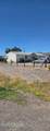 2745 Truckee Street - Photo 1