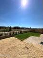 7860 Hoback Drive - Photo 15