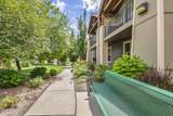 4822 Bougainvillea Drive - Photo 40