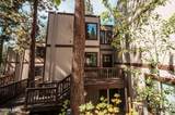 157 Holly Lane - Photo 31