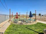 16 Hwy 208 - Photo 16