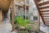 872 Tanager Street - Photo 5