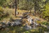 7400 Tunnel Creek Road - Photo 19