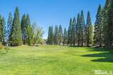 2710 Del Monte Lane - Photo 30