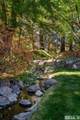 2710 Del Monte Lane - Photo 35