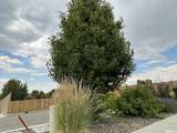 3165 Great Basin Avenue - Photo 5