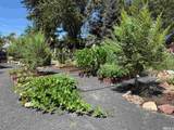 5650 Wedekind Road - Photo 22
