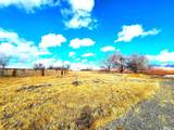 1480 Palomino Road - Photo 31