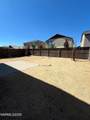 1982 Maradona Drive - Photo 19