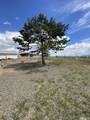 695 Good Choice Road - Photo 22