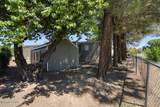 1251 Knights Lane - Photo 29