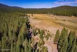 1015 Mountain Quail Road - Photo 2