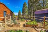 1015 Mountain Quail Road - Photo 5