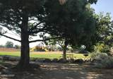 2835 Skyline Boulevard - Photo 2